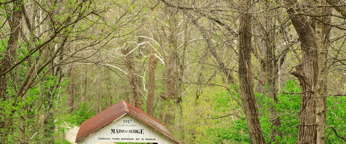 A small white bridge with a sign reading "1917 Marston's Bridge, Cross this bridge at a walk."