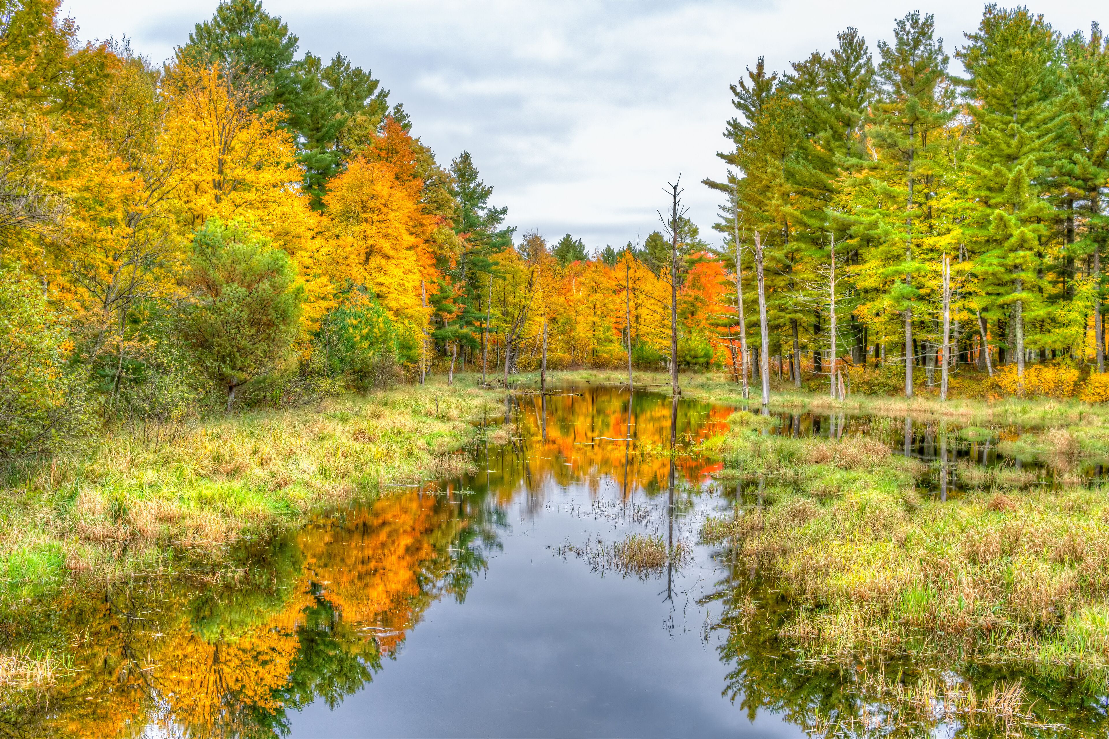 A serene pond surrounded by autumn-colored trees and a grassy landscape.