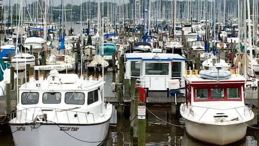 Loving the boat life