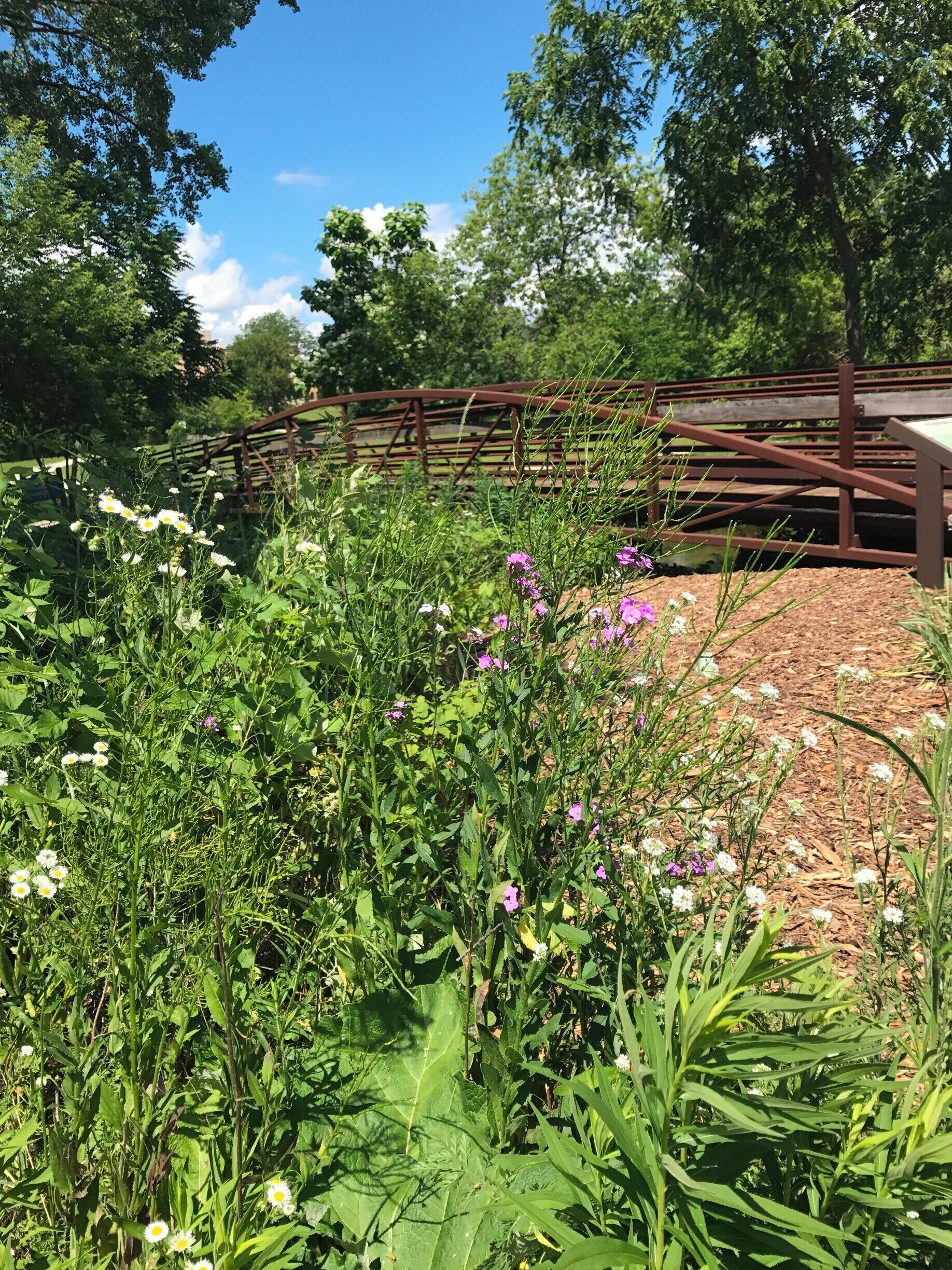 This place is away from the hustle and bustle of the business world.  It's so beautiful!  #Green