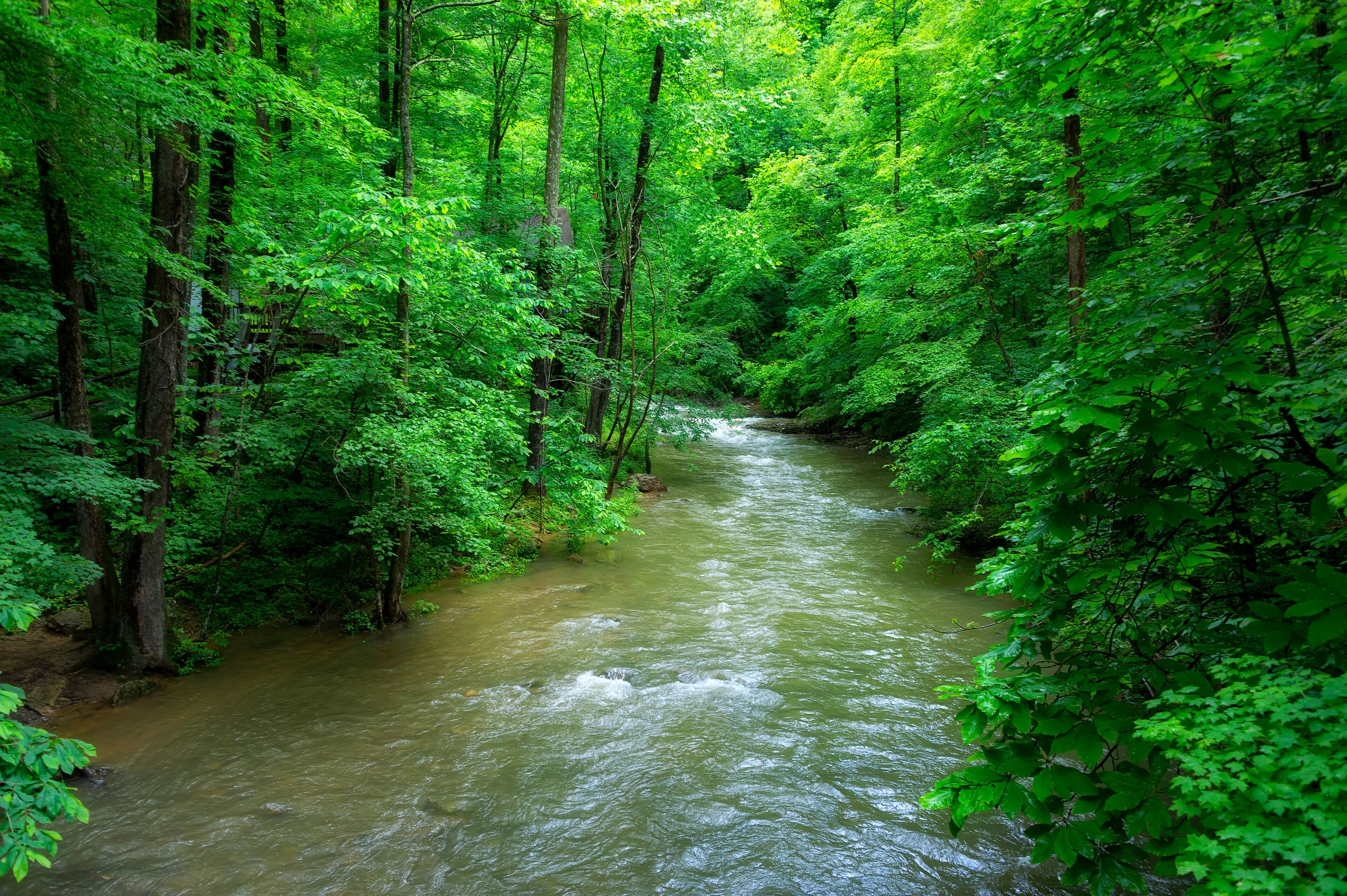 Clinch River in rural Duffield, Virginia