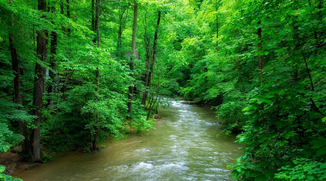 ดัฟฟิลด์