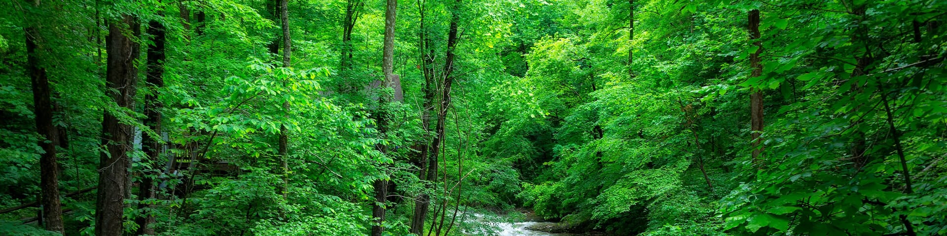 Clinch River in rural Duffield, Virginia