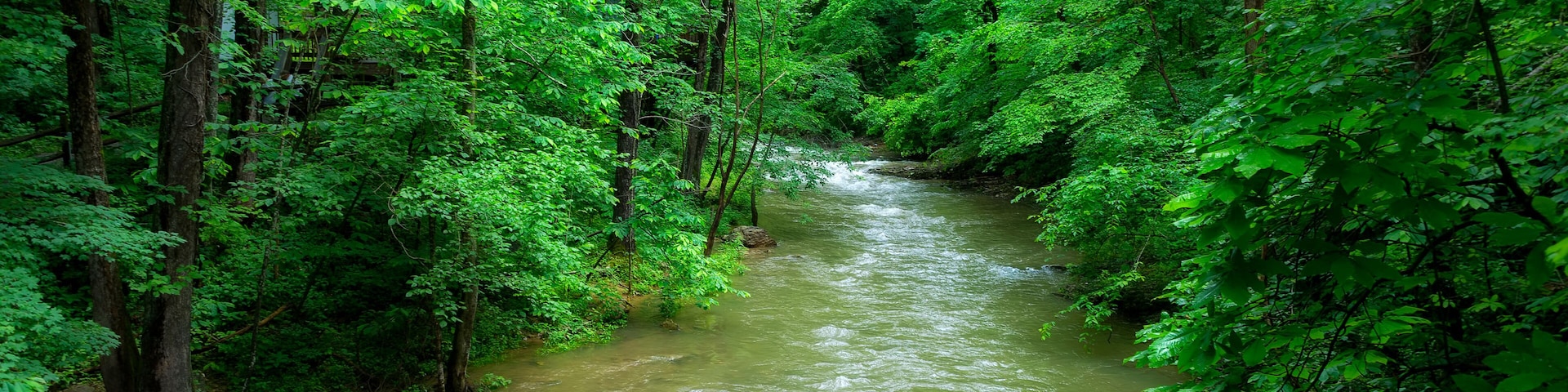 Clinch River in rural Duffield, Virginia