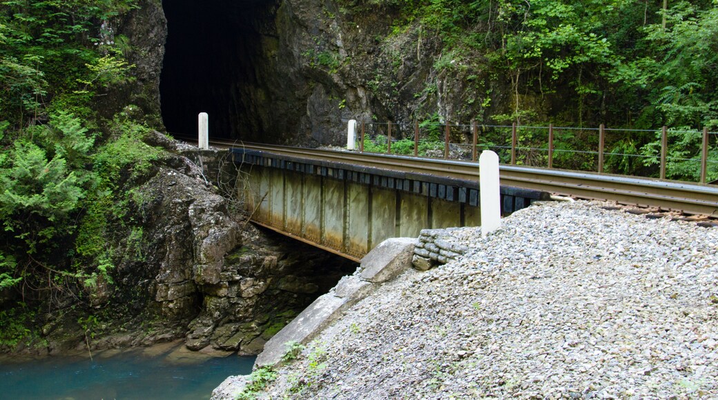 ดัฟฟิลด์