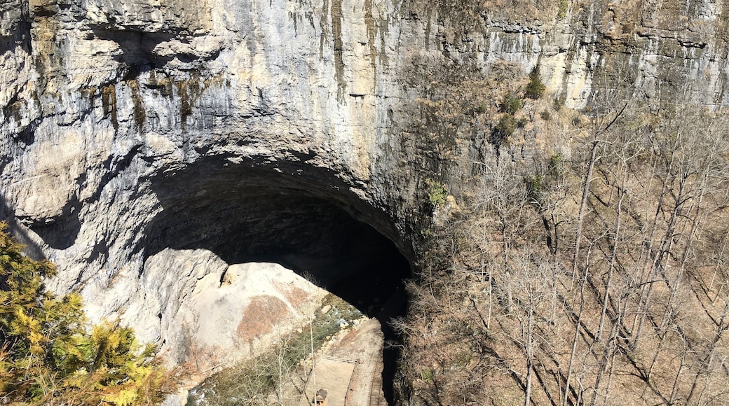 ดัฟฟิลด์