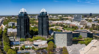 Pano of high rise buildings