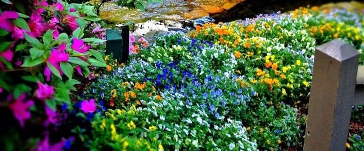 This was taken at an outside garden at the Crowne Ravinia plaza. I was at a conference there the past weekend. It's a beautiful place to stay, especially if your at a conference. The staff is very hospitable and catering to group needs. The hotel had an indoor and outdoor garden which is quite beautiful. If you feel like spending a lot of money and want to stay in the dunwoody area it's a great place. Or, if your planning or at a conference it's a perfect location.