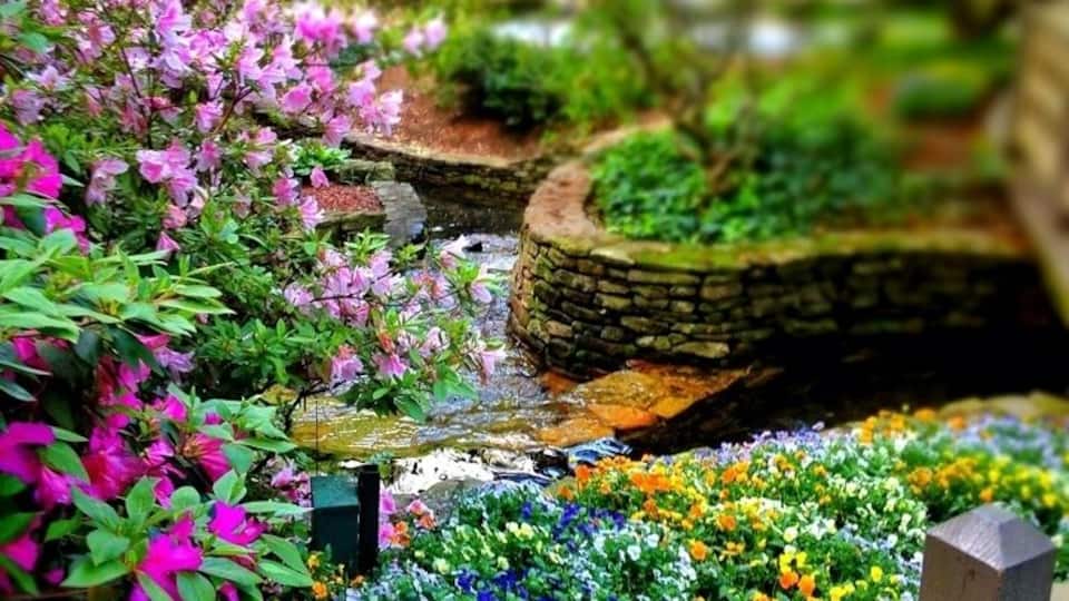 This was taken at an outside garden at the Crowne Ravinia plaza. I was at a conference there the past weekend. It's a beautiful place to stay, especially if your at a conference. The staff is very hospitable and catering to group needs. The hotel had an indoor and outdoor garden which is quite beautiful. If you feel like spending a lot of money and want to stay in the dunwoody area it's a great place. Or, if your planning or at a conference it's a perfect location.