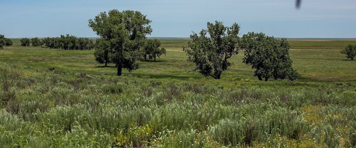 The struggle is real. It’s not a jet... it’s one of the many horseflies that was harassing me as I was trying to photograph a site for the American Battlefield Trust. This one was so persistent it showed up in more than one photo. #adventure