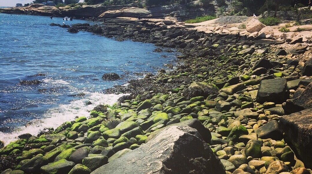Beach day in Connecticut