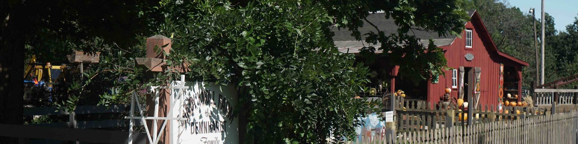 Very nice pumpkin patch. You can feed animals and lots of photo opportunities