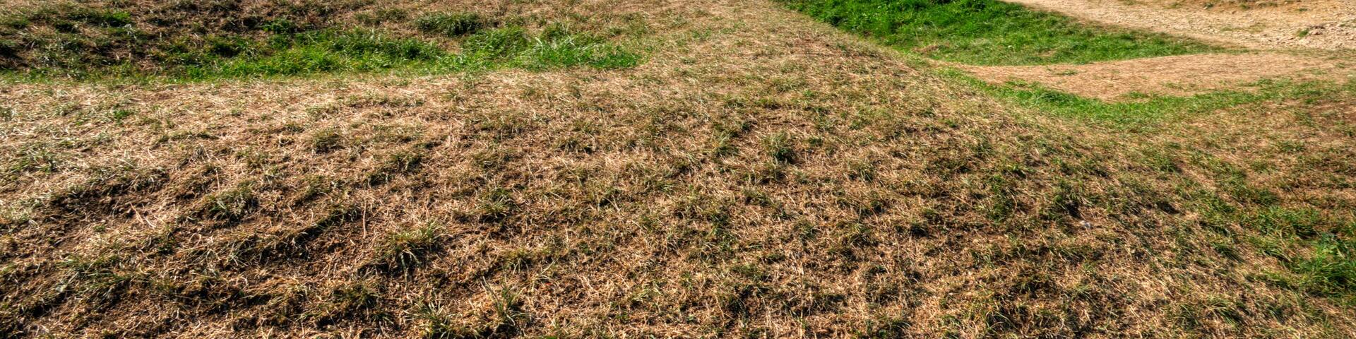 Tirs d'obus sur le fort de Douaumont, France