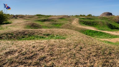 Tirs d'obus sur le fort de Douaumont, France