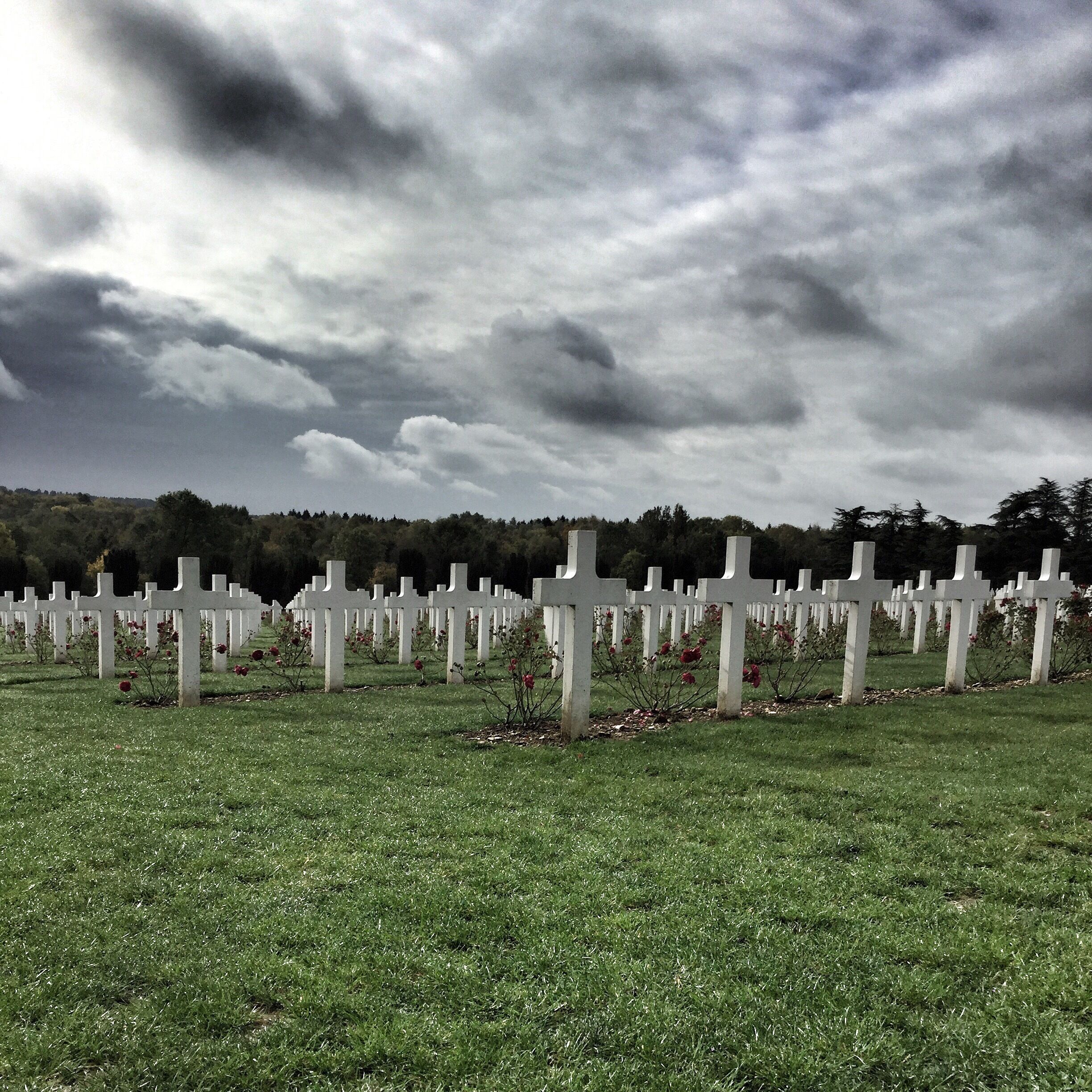 Well how do you do, young Willie McBride..?