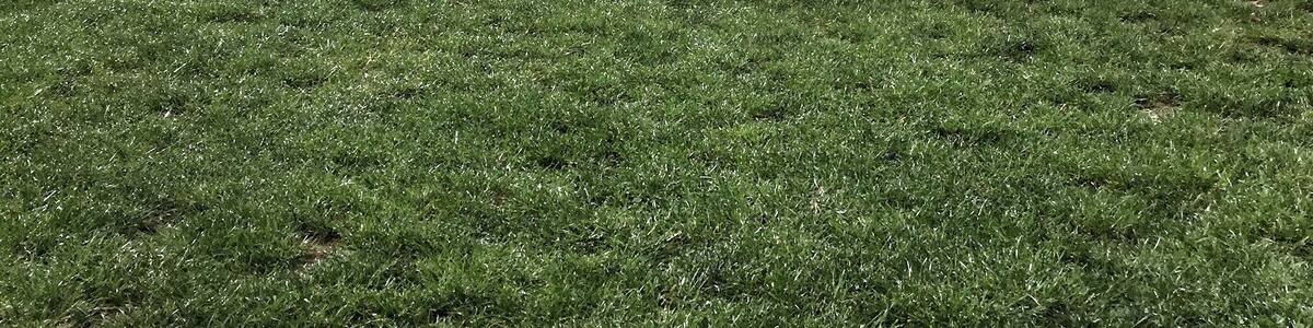 Well how do you do, young Willie McBride..?