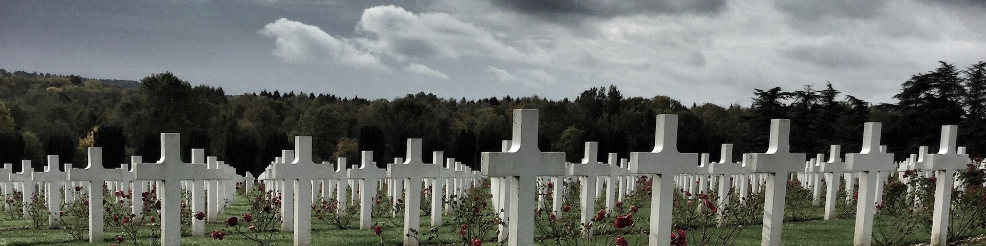 Well how do you do, young Willie McBride..?