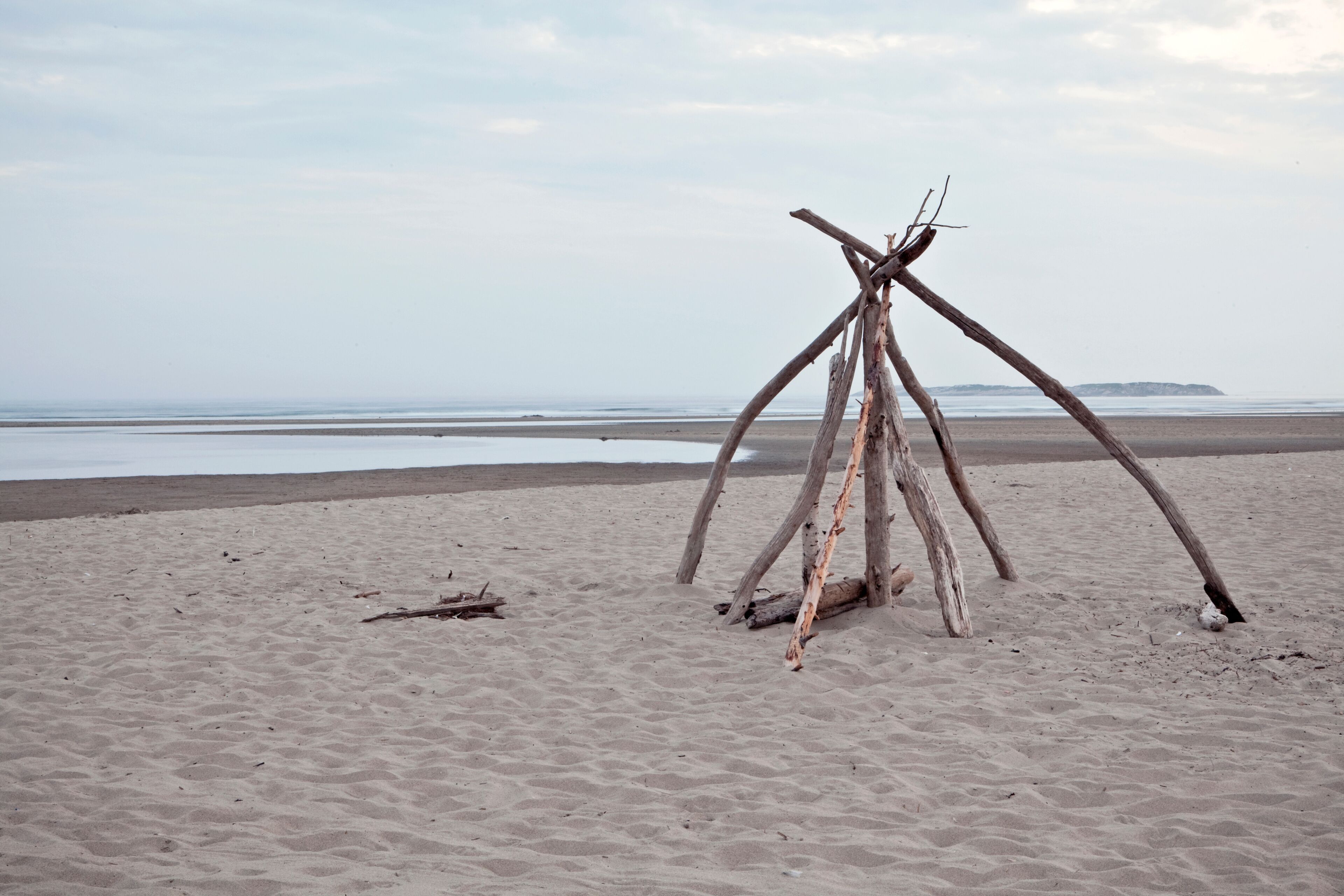 A stand of driftwood sits along a deserted beach in Maine