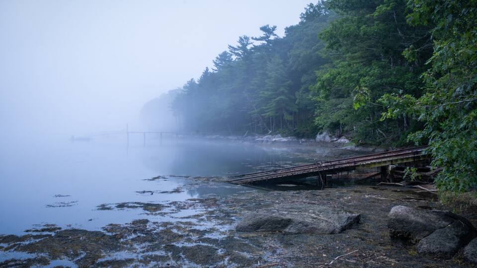 A foggy lake with a wooden bridge and dense forest.