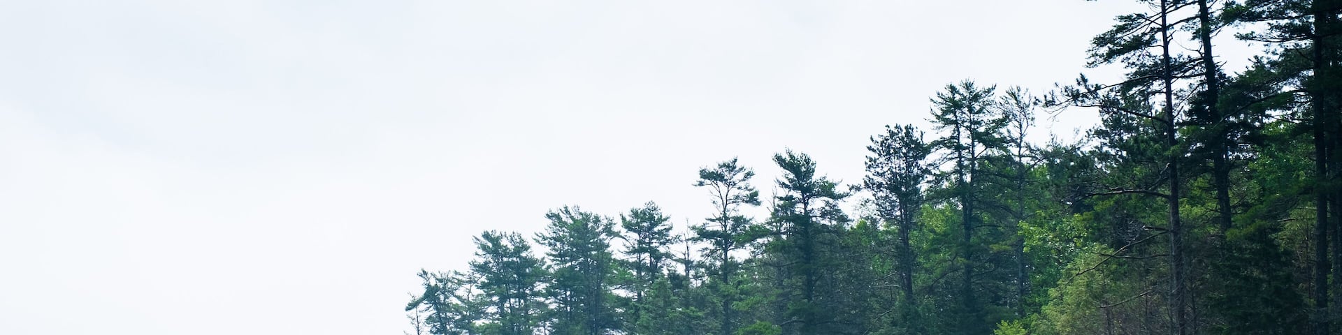 Sheepscot River near Edgecomb, Maine, in fog.