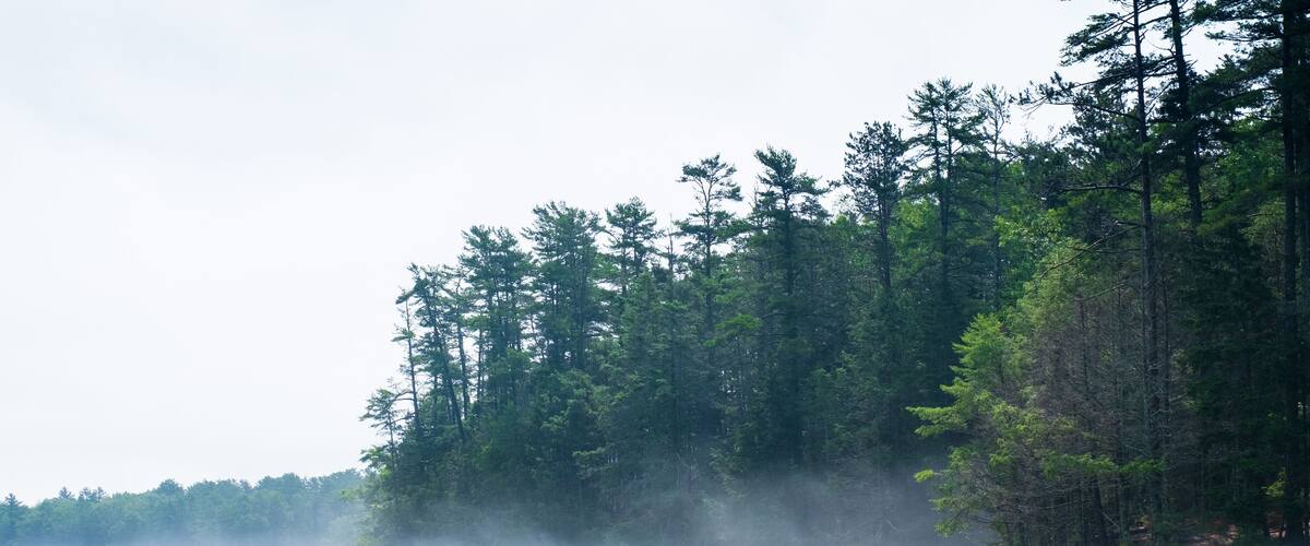 Sheepscot River near Edgecomb, Maine, in fog.