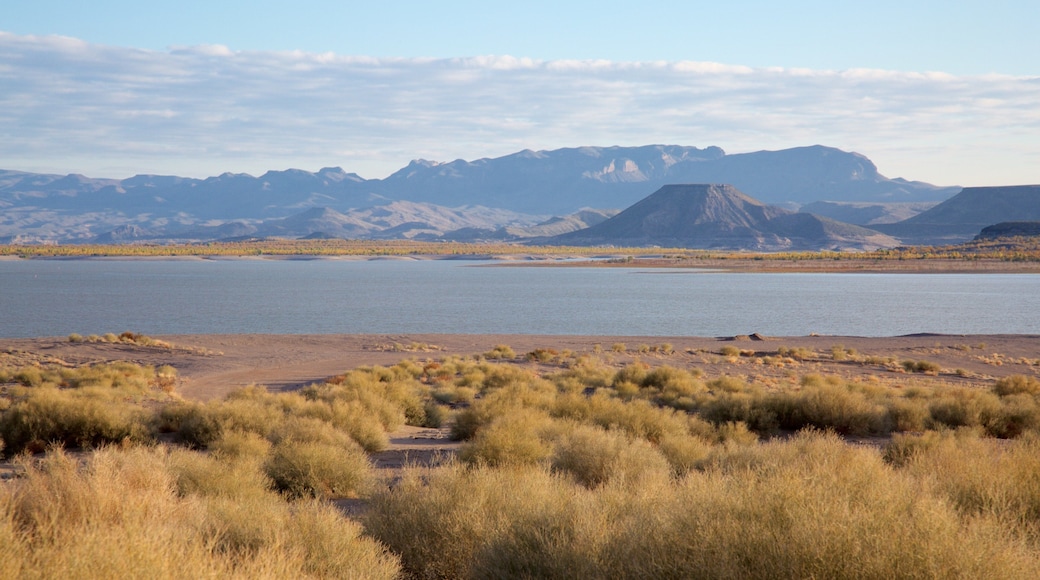 Elephant Butte showing a lake or waterhole and tranquil scenes