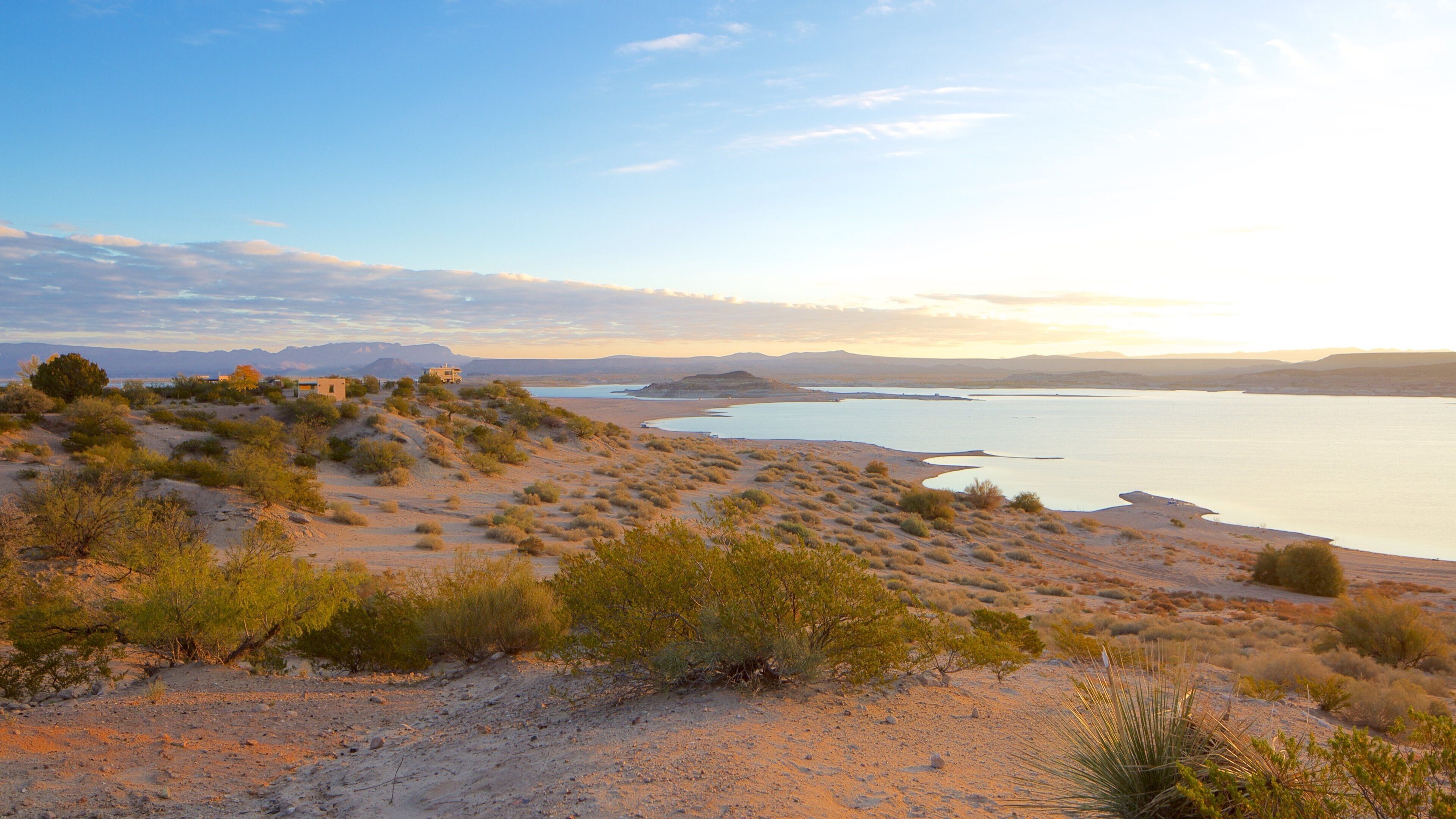 Elephant Butte which includes a beach, landscape views and a lake or waterhole