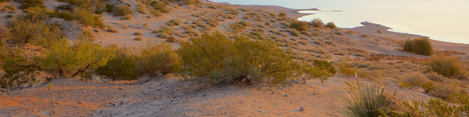 Elephant Butte which includes a beach, landscape views and a lake or waterhole