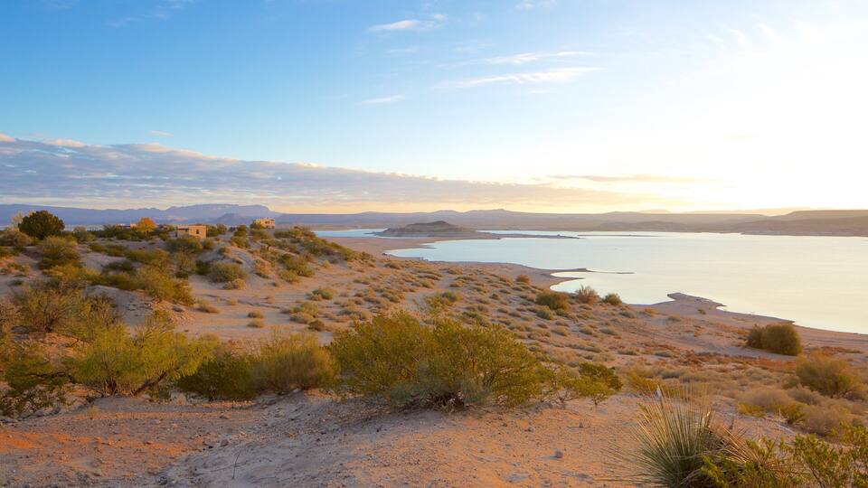 A desert landscape with sparse vegetation, a large body of water, and distant mountains.