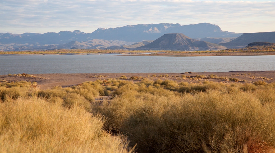 Elephant Butte featuring a lake or waterhole and tranquil scenes