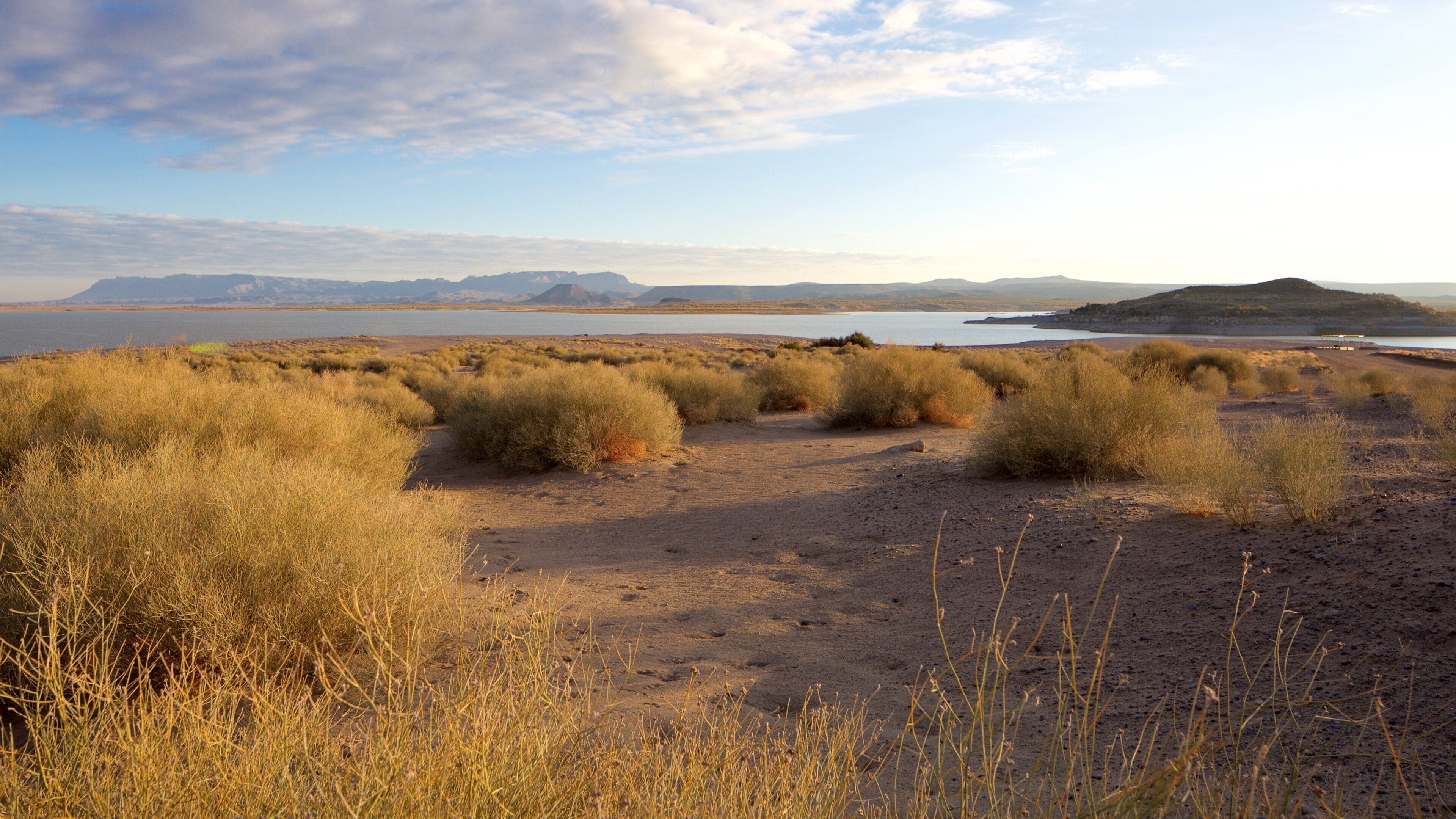 A desert landscape with sparse vegetation, a distant body of water, and mountains in the background.