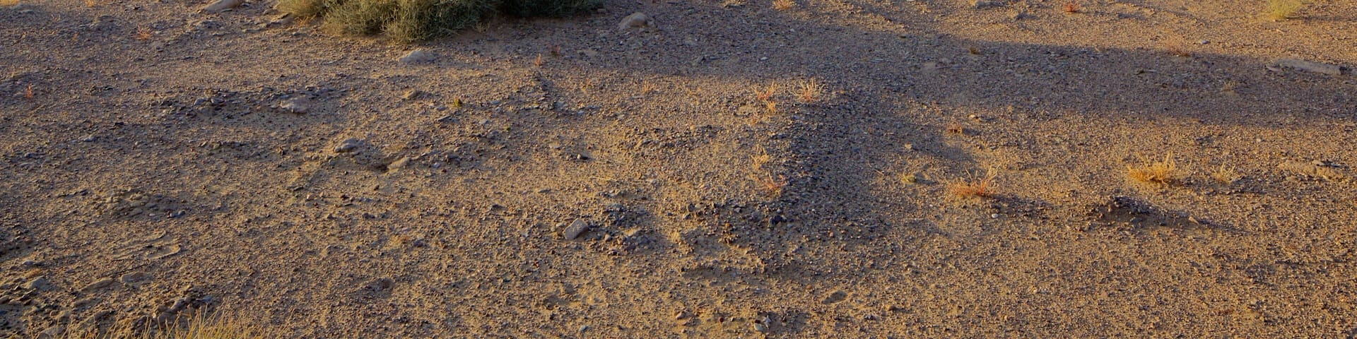 Elephant Butte mit einem See oder Wasserstelle und ruhige Szenerie