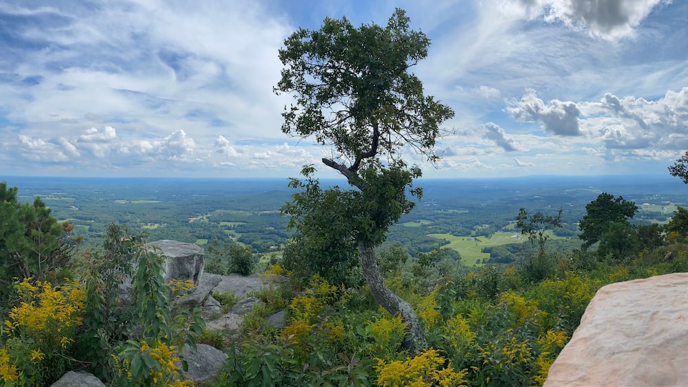 Pilot Mountain - Yadkin County, NC