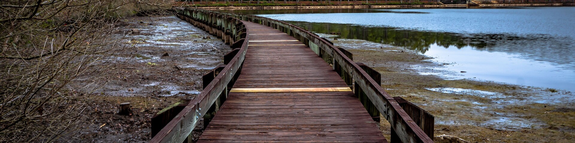 Wooden boardwalk in Cheraw State Park,South Carolina,USA.