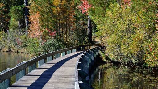 A wooden boardwalk curving over a body of water, surrounded by autumn foliage.