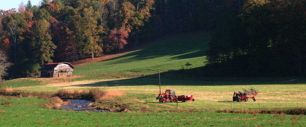 Barn in field with a touch of fall near Ellijay Georgia.
