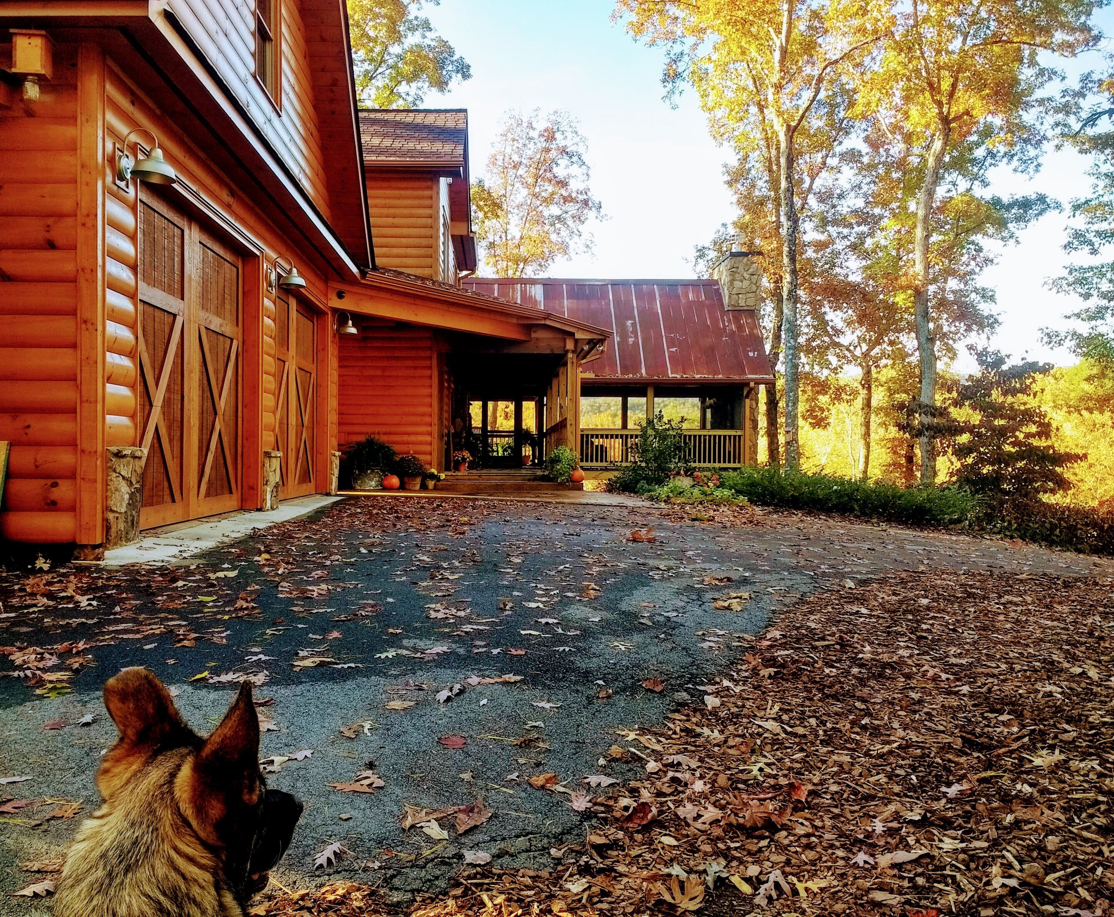 He looks so small, almost unnoticeable. But there he is, surviving his world; the one on a mountain.  
#Trovember