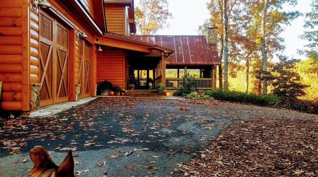 He looks so small, almost unnoticeable. But there he is, surviving his world; the one on a mountain.
#Trovember