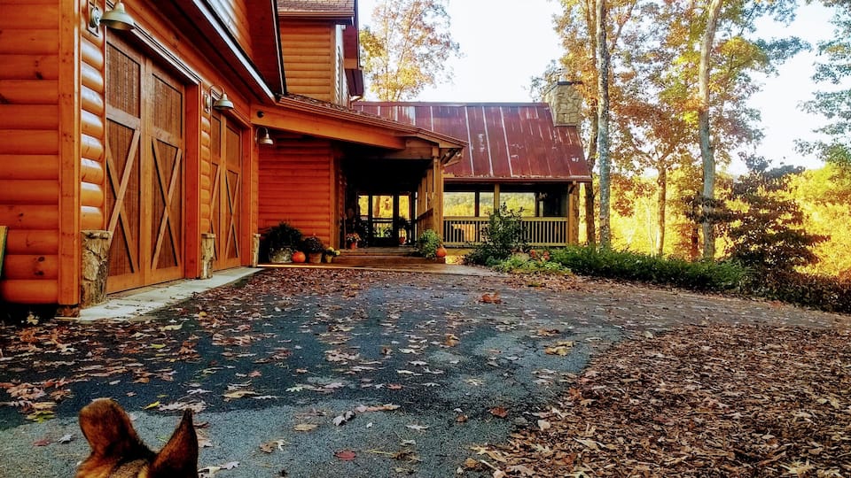 He looks so small, almost unnoticeable. But there he is, surviving his world; the one on a mountain.
#Trovember