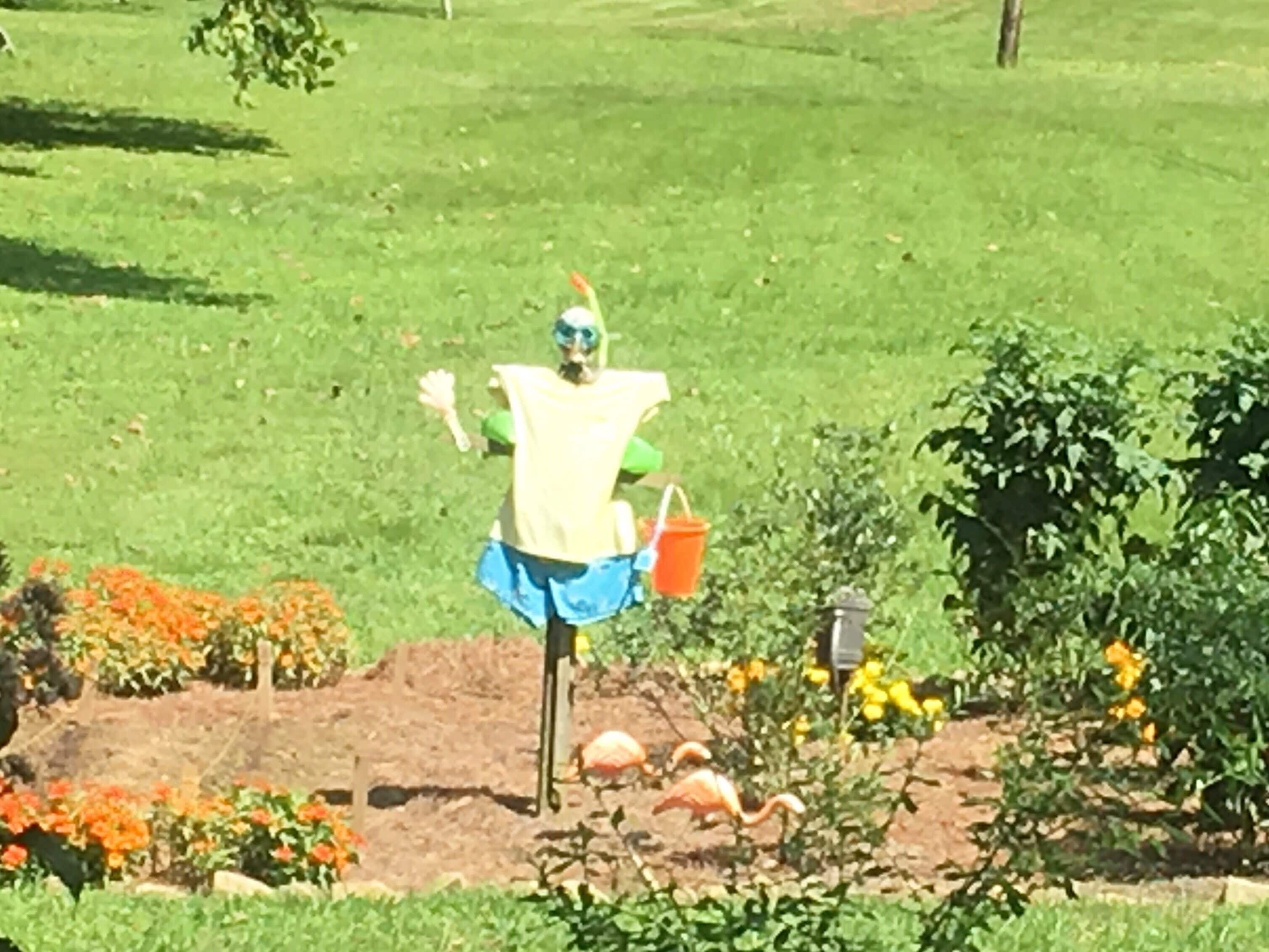 Swimming in the garden