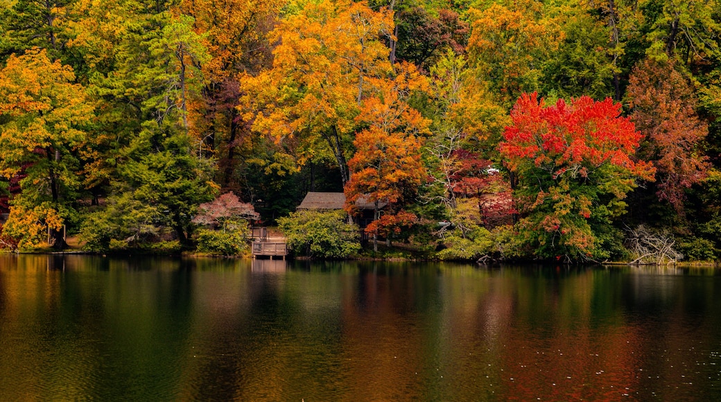 beautiful autumn trees with vibrant colors reflected in water at Vogel state park in Georgia landscape background