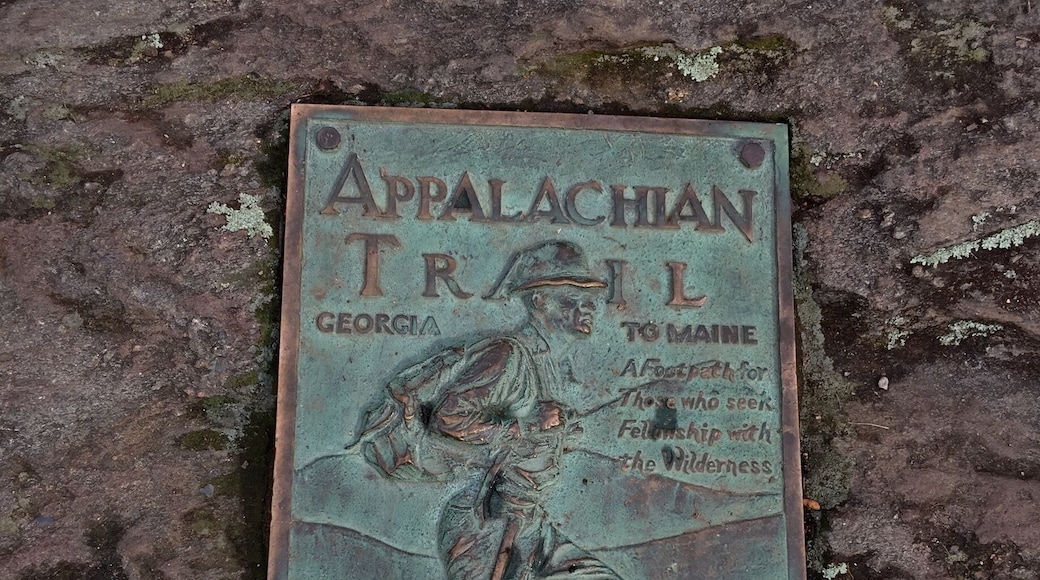 The Southern Terminus of the #AppalachianTrail at Springer Mountain in North GA.