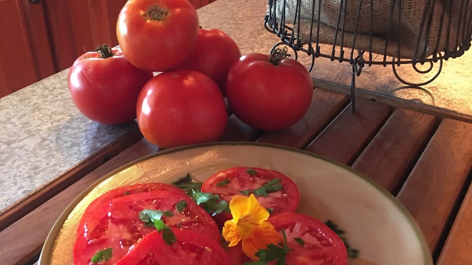 Missing fresh tomatoes, but not the heat of summer. Last year, we tried something different: tomatoes grown in hay bales. A HUGE success; will do it again.