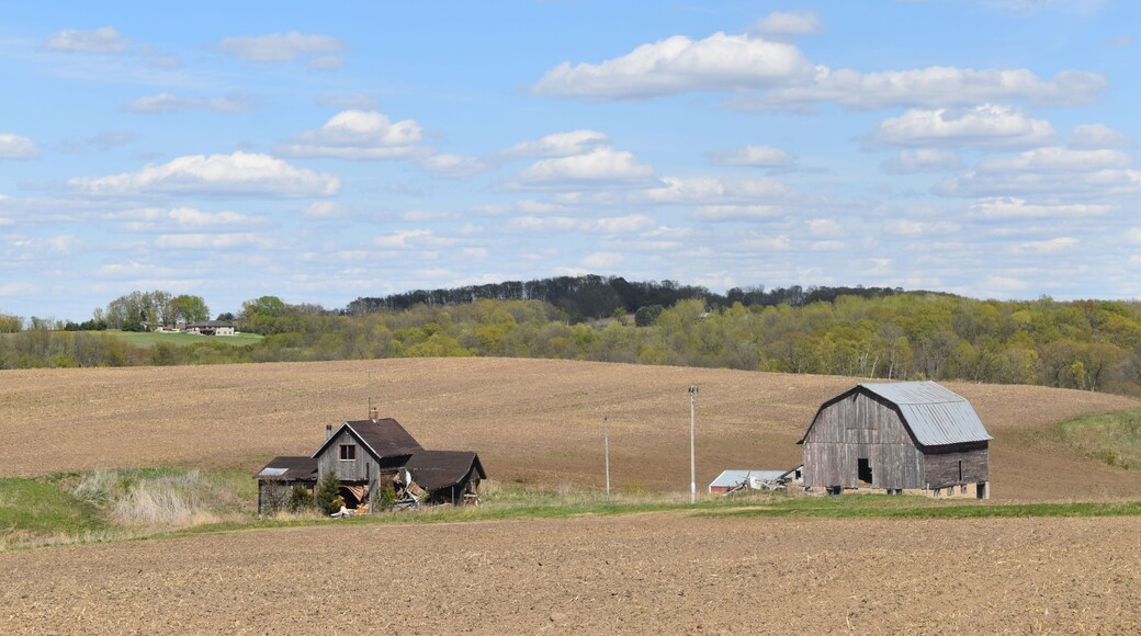 Abandoned House in Ellsworth, Wisconsin