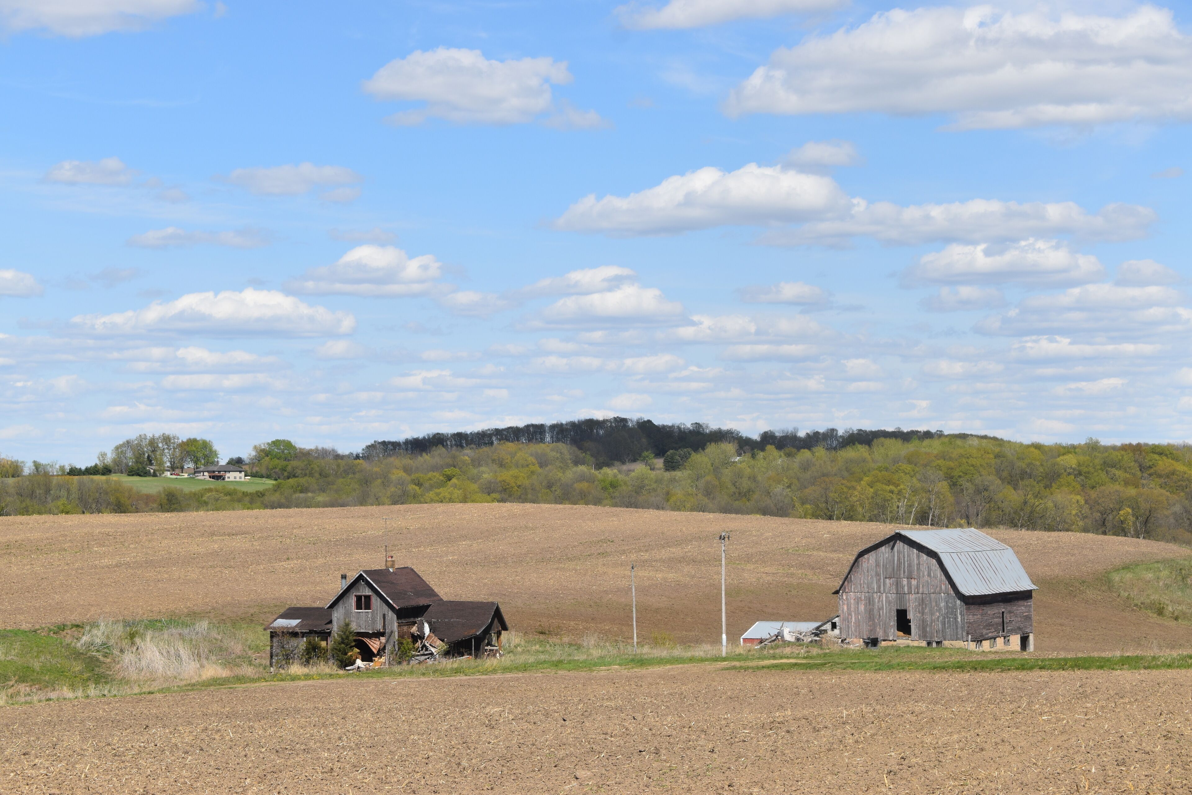 A rural landscape with two barns, a plowed field, and a forest in the background.