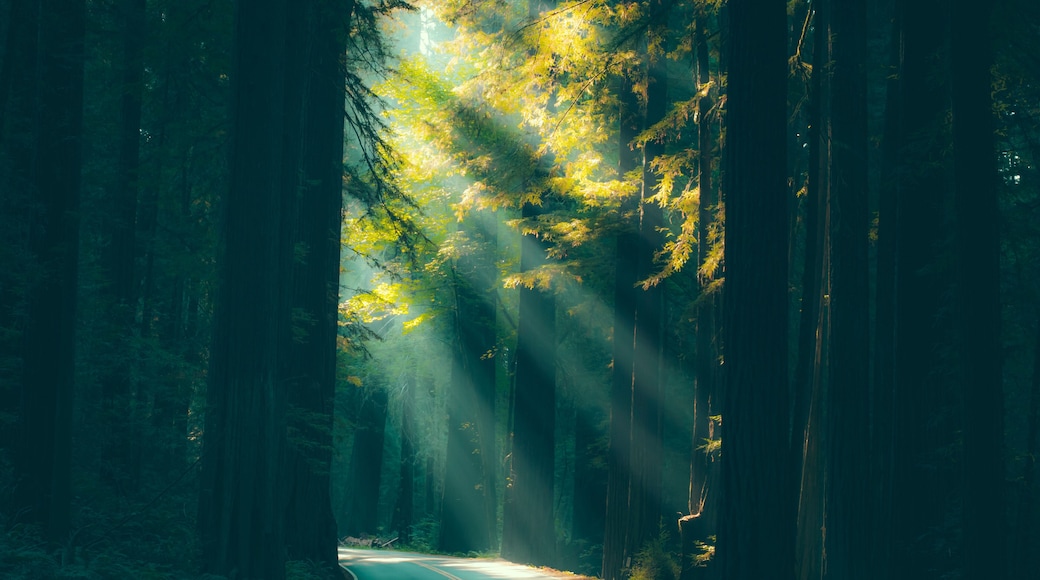 เรดเครสต์