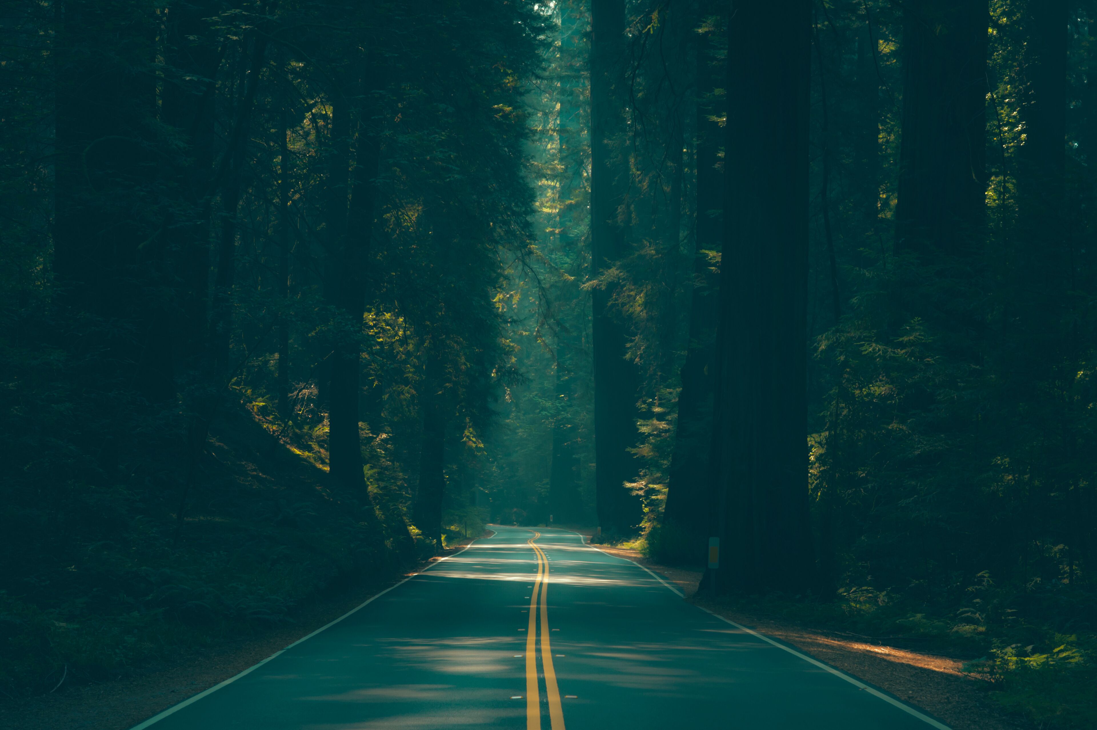 เรดเครสต์