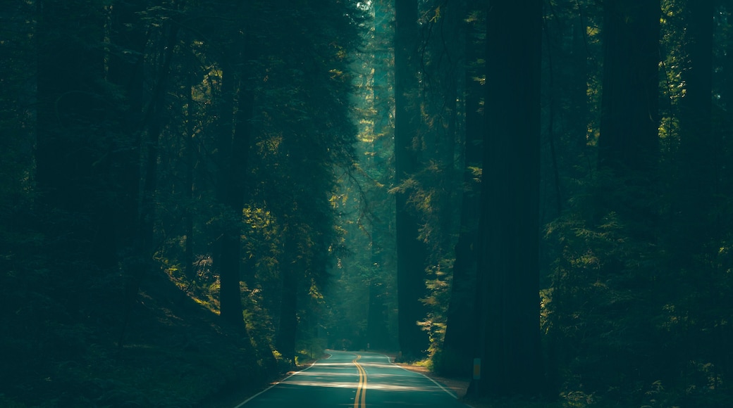 เรดเครสต์