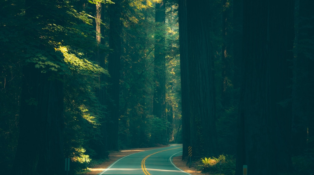 เรดเครสต์