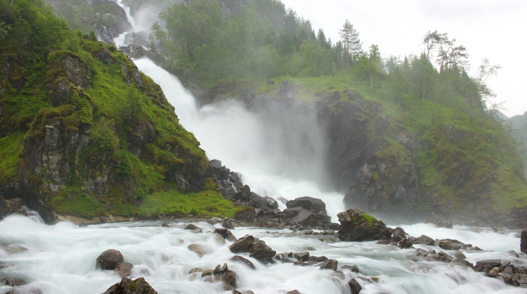 Bergen featuring a waterfall and rapids